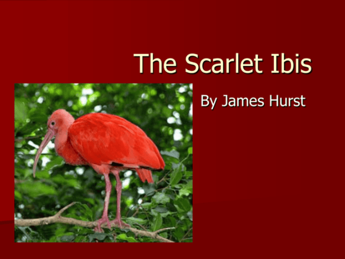 The scarlet ibis full text