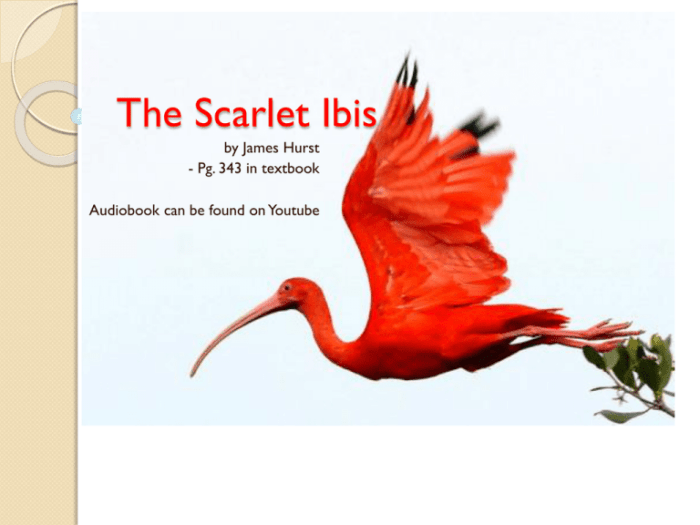 The scarlet ibis full text