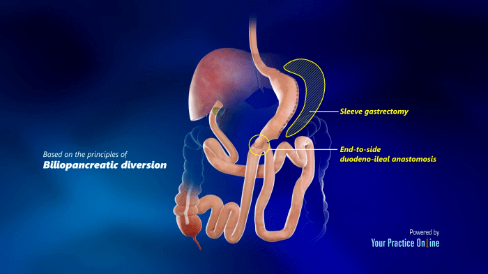 Ileal mucosa atlas asklepios medical relief photograph anatomy 27th uploaded june which