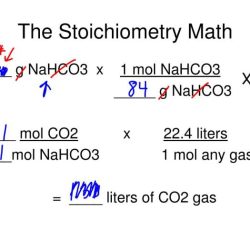 Stoichiometry soda baking lab vinegar